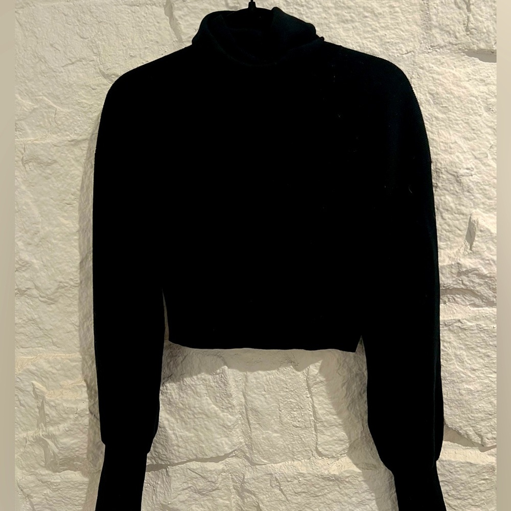 Aritzia Wilfred Black Turtleneck Sweater